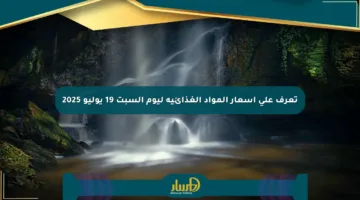 تعرف على أسعار المواد الغذائية ليوم السبت 19 يوليو 2025